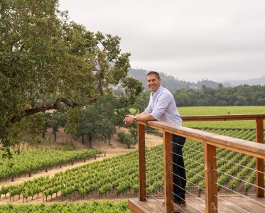 Breathtaking vineyard with a mountainous backdrop