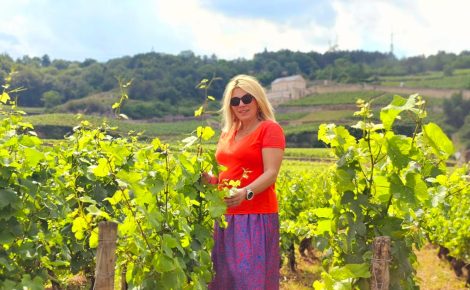 The “Golden Ring” of Bourgogne: a journey through terroirs and masterpieces, and the Global Wine Tourism Day