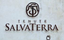 Tenute SalvaTerra