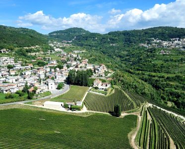 A Vast Winemaking Legacy Across Veneto