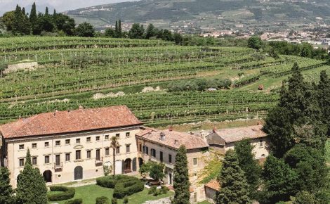 Tenuta Villa Bellini: Key Highlights of 2025