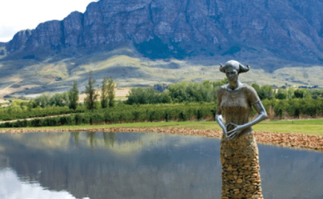 South African Wine Industry Focuses on Premium Growth Amid Global Market Challenges