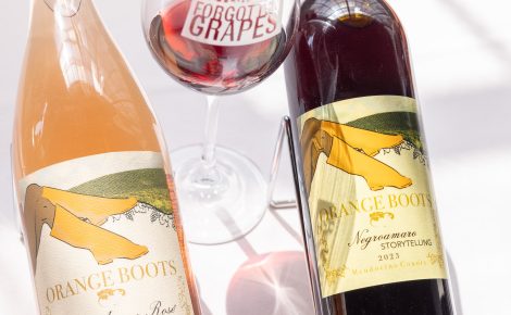 Festival of Forgotten Grapes by Allison Levine