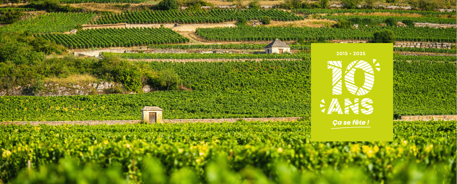Burgundy Climats