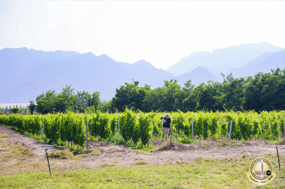 CMB in Ningxia