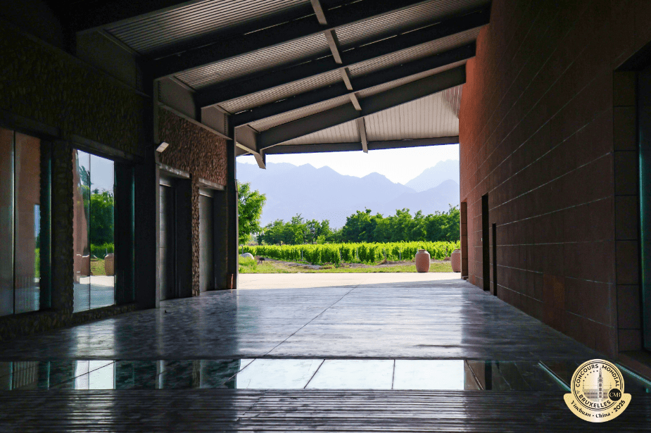 Silver Heights Vineyard