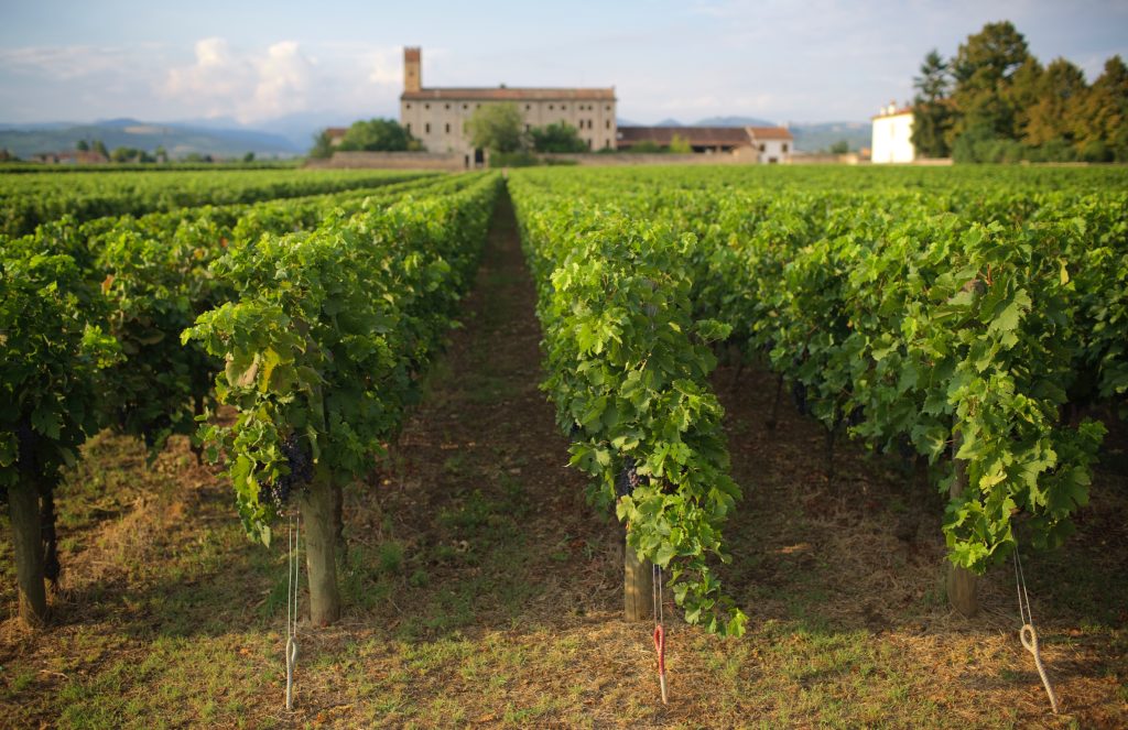 Tenuta Santa Maria