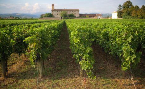 Valpolicella’s WTA Triumph and the Timeless Allure of Brolo dei Poeti