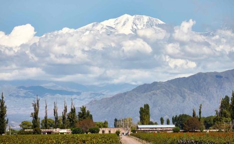 BKWine Announces Its 2026–2027 Wine Travel Programme
