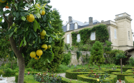 One of the world’s leading wine tour operators, BKWine, has announced its upcoming program for 2025-2026