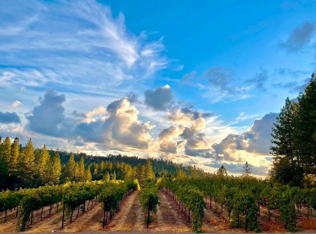 California