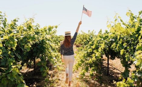 A Promising Year for California Vineyards