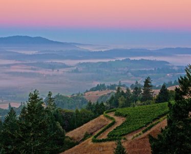Sustainability is a defining pillar of California as a wine destination