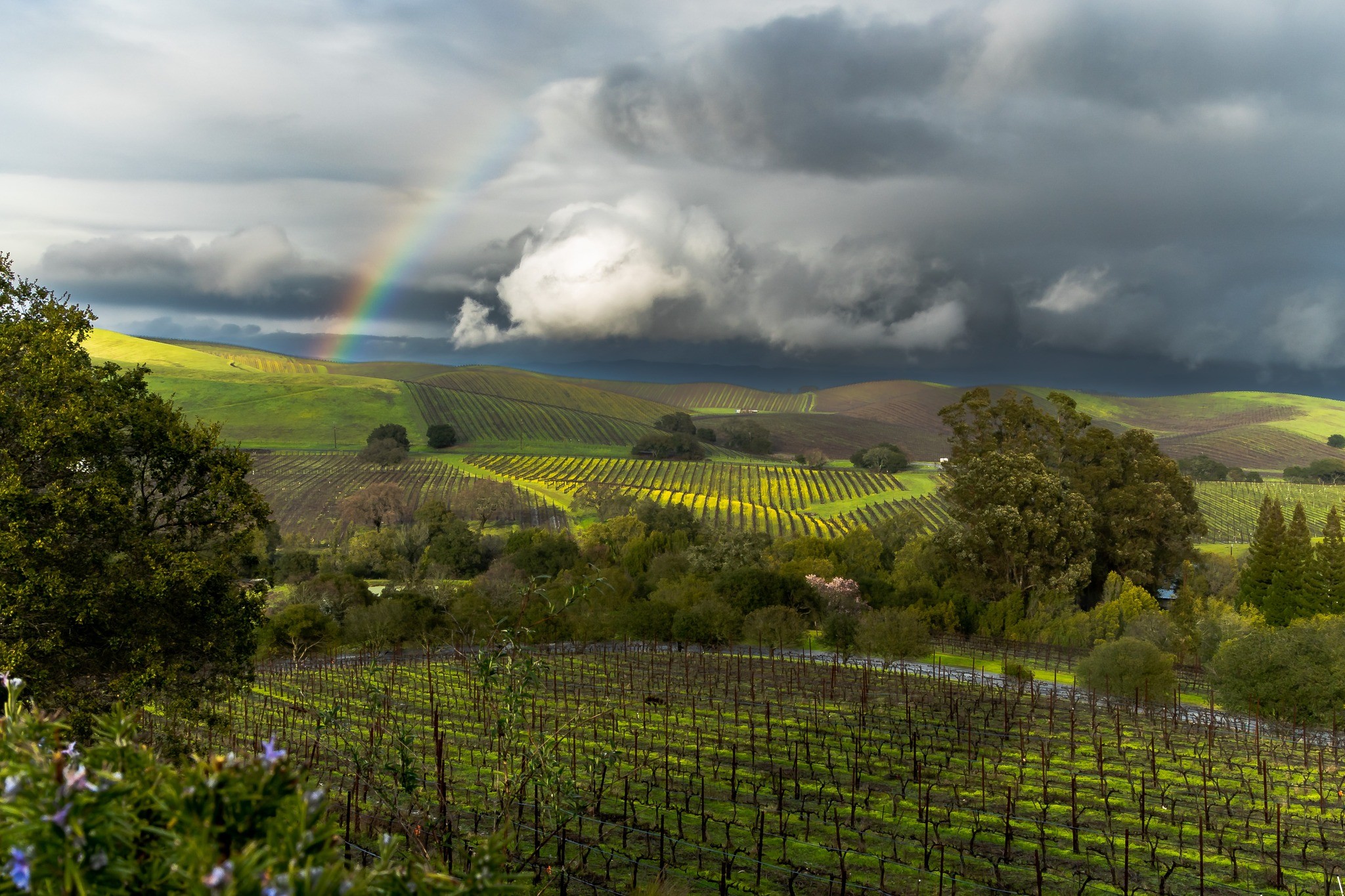 California