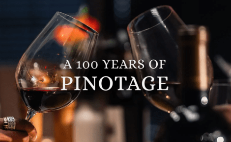 Pinotage – the gold of South Africa