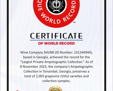 The First Wine Museum in Georgia. SHUMI