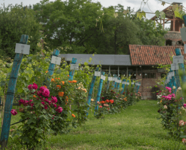 The First Wine Museum in Georgia. SHUMI
