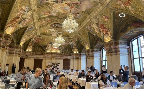 Magnet of the Region