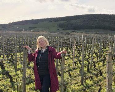 Experienced Wine Professional &Passionate Wine Guide