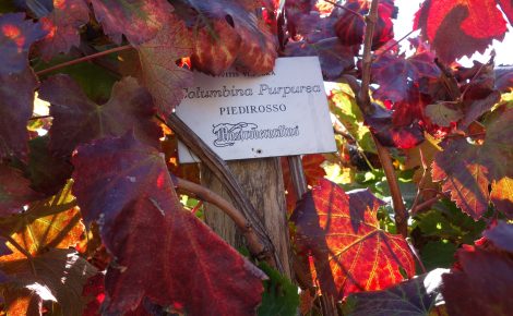 Progressive Approach