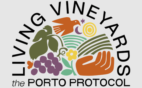Living Vineyards Tour: A Regenerative Journey Across Europe