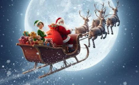 A Winter of Wine and Wonder with Anne-Wies van Oosten