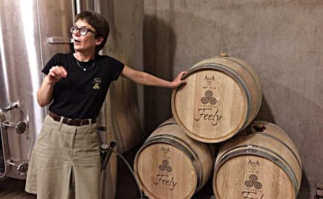 Château Feely Where Organic Wine, Wellness and Vineyard Life Come Together