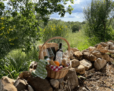 Immersive Experiences in Nature