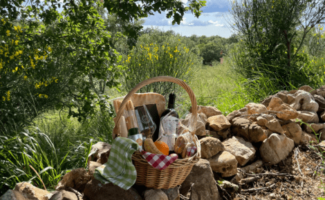 Fattoria La Maliosa Opens a New Winery Facility and Expands Its Wine Tourism Programme