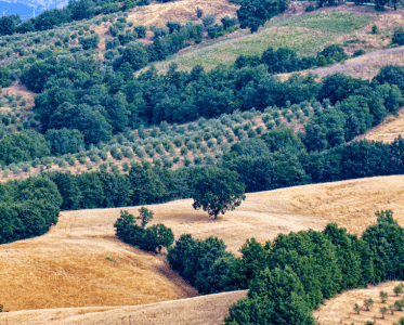 The Philosophy and Landscape of La Maliosa
