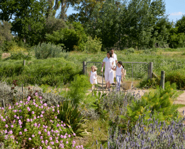 Learning Through Living