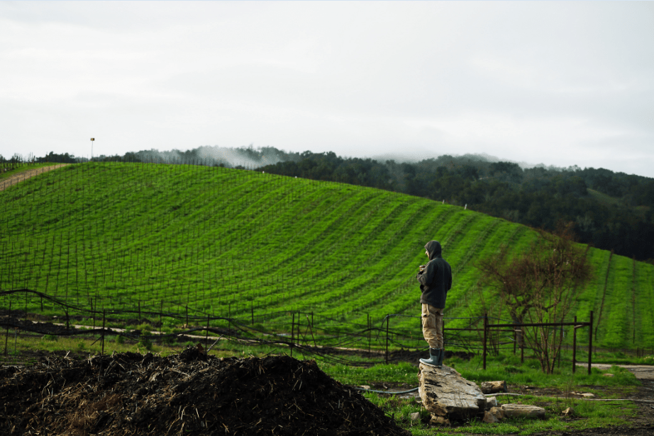 Tablas Creek Vineyard