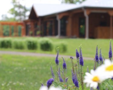 The Symphony of the Plant World: Energy, Connections, Evolution