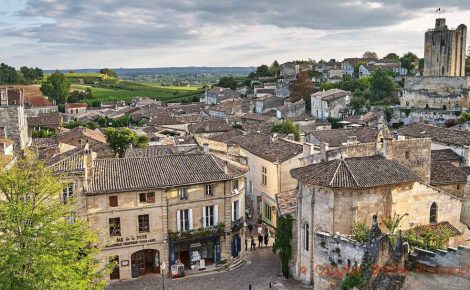 BKWine Opens the 2026 Wine Travel Season