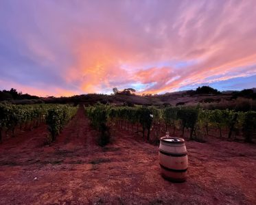 Between the Sky and the Sea