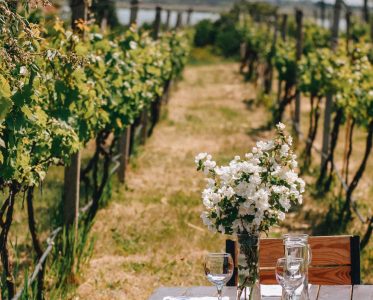  The Black Sea Region in Ukraine: Where Steppe Meets the Sea