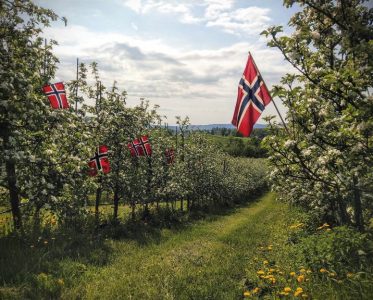 Egge Gård: Pioneering Norwegian Grape Winemaking