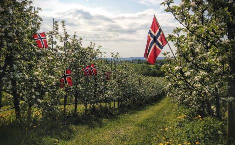 Egge Gård Leading the Future of Norwegian Winemaking