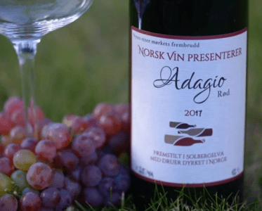 An Italian Heart, a Norwegian Vineyard