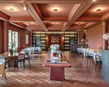 Wine, Gastronomy, and the Art of Experience