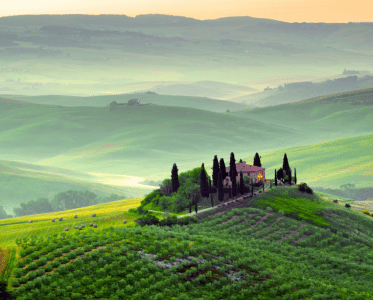 Leadership in Luxury Wine Travel