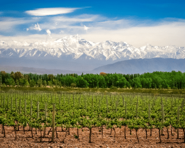 Leadership in Luxury Wine Travel