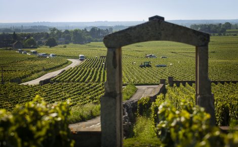 Five Reasons to Be in Beaune on 17 June