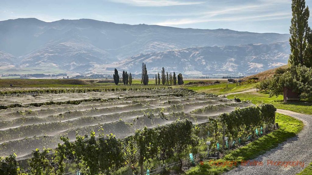 BKWine Tours
