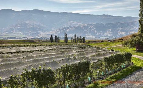 Wine, Adventure, and Unforgettable Experiences: BKWine Tours Expands Horizons!