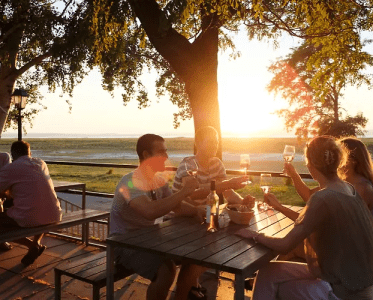 A Sun-Blessed Wine Region at the Edge of Austria