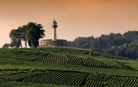 Champagne C. Garnotel