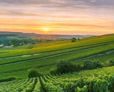Heritage in the Heart of Champagne