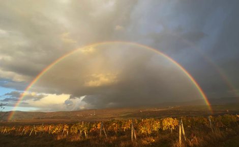 Chateau Chizay unveils a new chapter in Ukrainian wine tourism