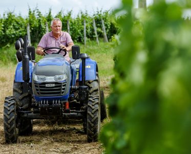 Vineyards – a source of strength and inspiration